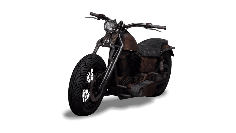 Western Rat Bike