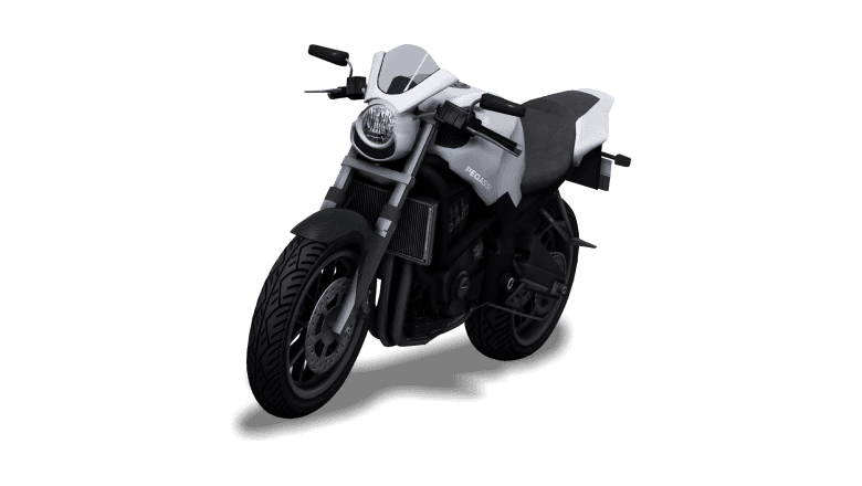 Pegassi Ruffian